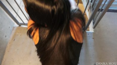 WAITING THE ROOMS KEY WITH MY HOT GF QUICKIE IN EMERGENCY STAIRS11