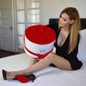 Dicktatorship CatMFC 01